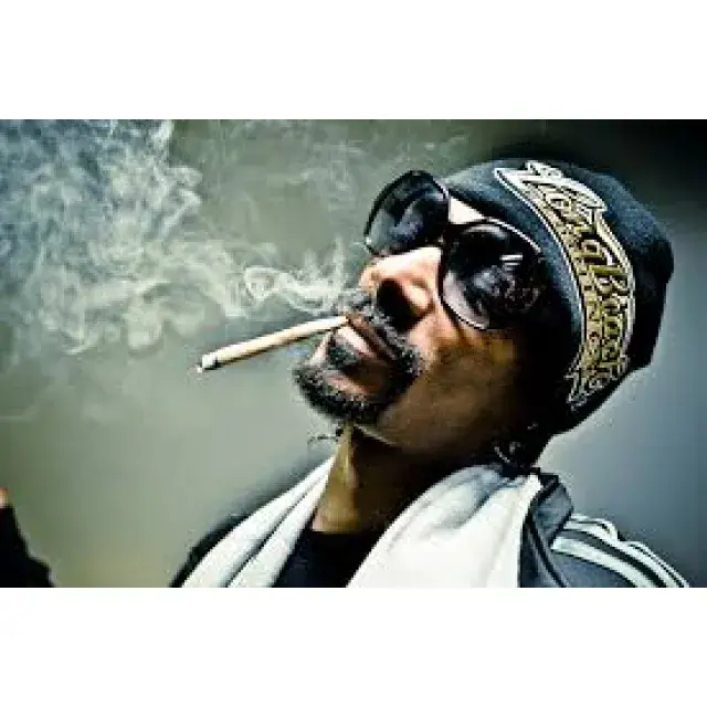 The Top 5 Cannabis Seeds By Snoop Dogg - Discount Cannabis Seeds.