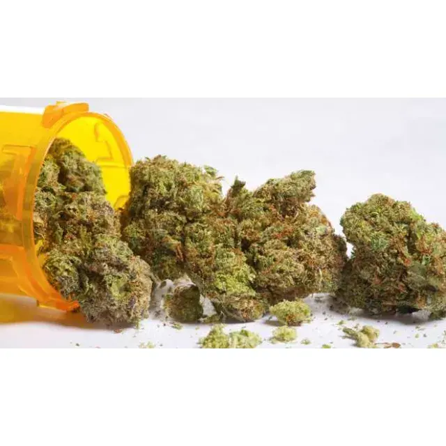 The Best Cannabis Seeds for the elite grower - Discount Cannabis Seeds.