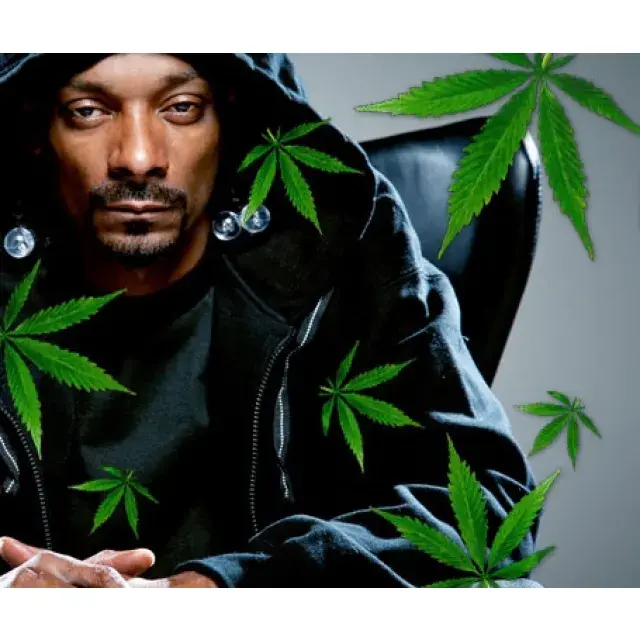 Cannabis Seeds Snoop Dogg's Favourite - Discount Cannabis Seeds.