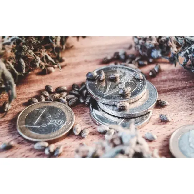 Cannabis Seeds The Best Money Can Buy - Discount Cannabis Seeds.