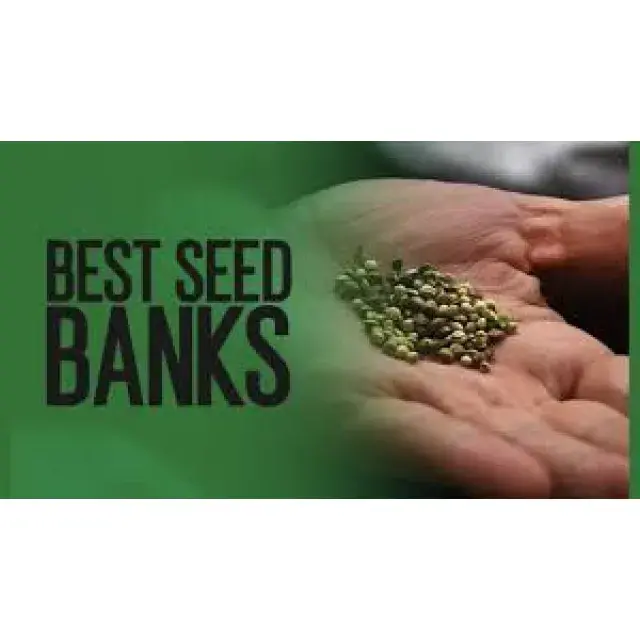 Cannabis Seeds Best Seeds of the Year 2021