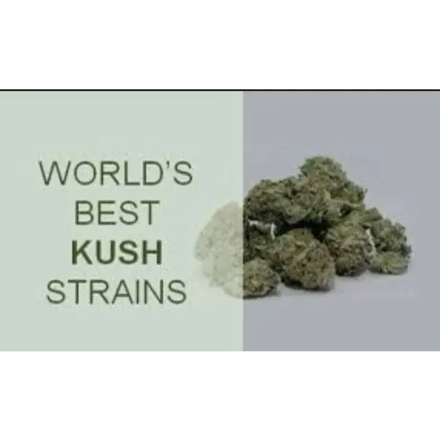 Kush Cannabis Seeds The Top Kush Strains - Discount Cannabis Seeds.