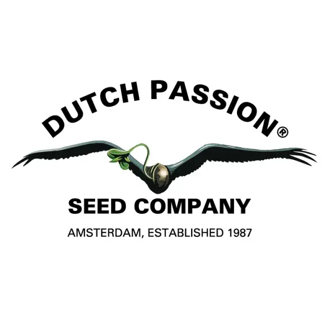 Cannabis Seeds The Top Strains By Dutch Passion - Discount Cannabis Seeds.