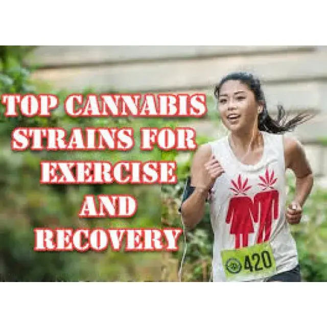 Cannabis Seeds The Best Strains For Working Out - Discount Cannabis Seeds.