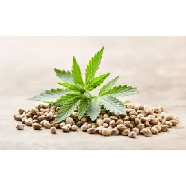 Cannabis Seeds The Top Strains - Discount Cannabis Seeds.