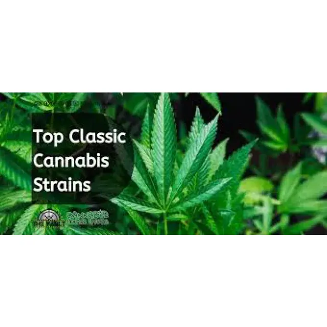Cannabis Seeds - The Classic Strains - Discount Cannabis Seeds.