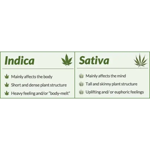Cannabis Seeds - Difference Between Indica & Sativa Strains.