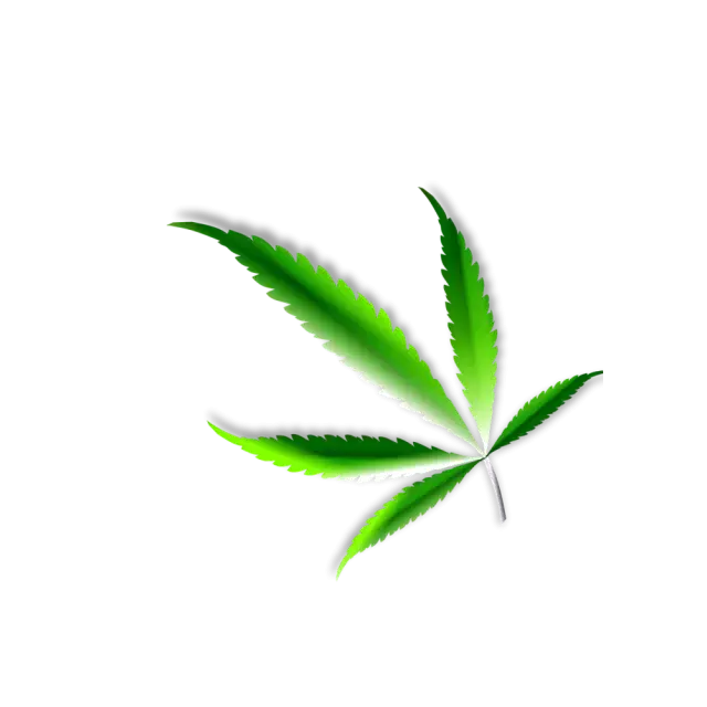 Discount Cannabis Seeds: Unwrap Christmas Cannabis Seeds!