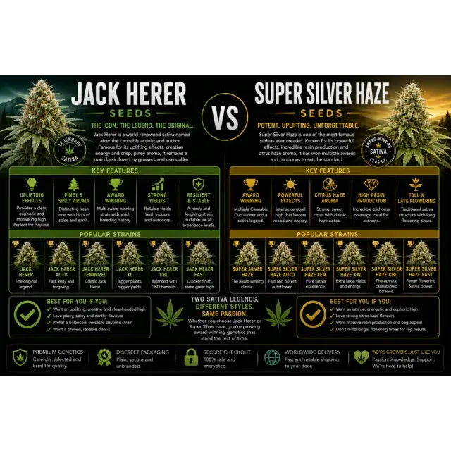 Cannabis Seeds: Jack Herer Seeds vs Super Silver Haze Seeds.