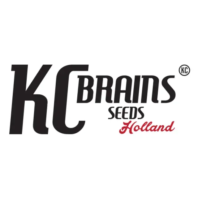KC Brains Seeds | Discount Cannabis Seeds