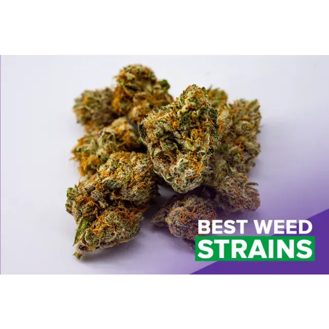 Warum Kush-Cannabissamen die perfekte Wahl sind.
