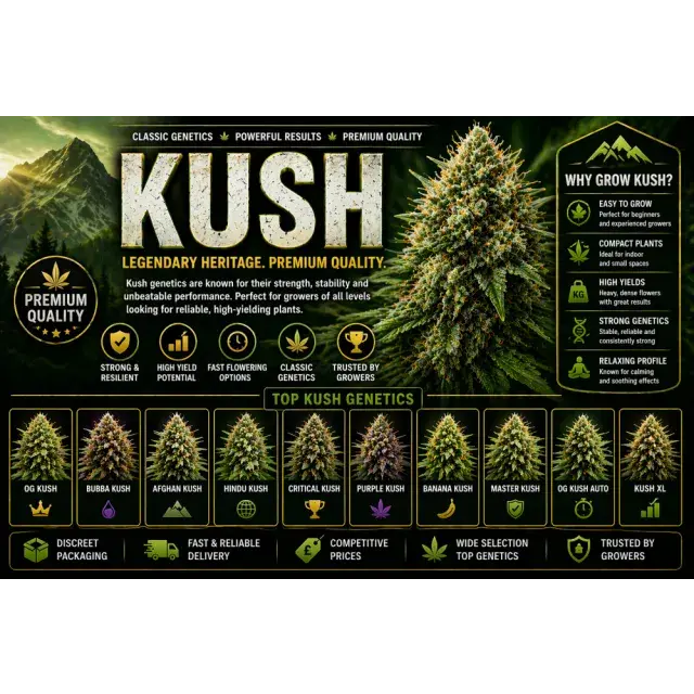 Kush Cannabis Seeds UK (Top Indica Strains Guide 2026).