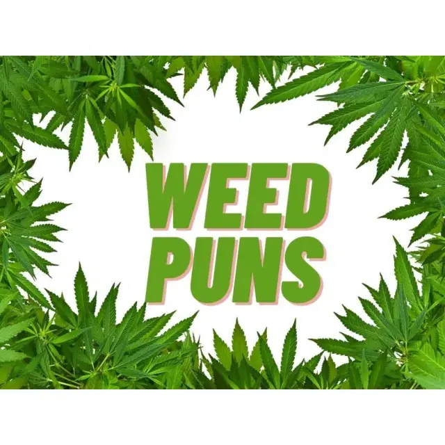 Cannabis Seeds: Lighten Up Your Grow: The Best Ganja Jokes.
