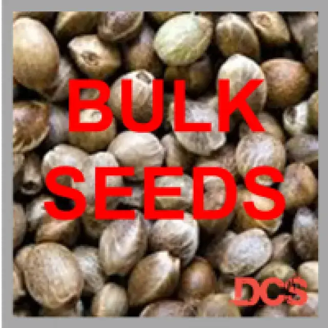 Bulk Cannabis Seeds - Discount Cannabis Seeds.