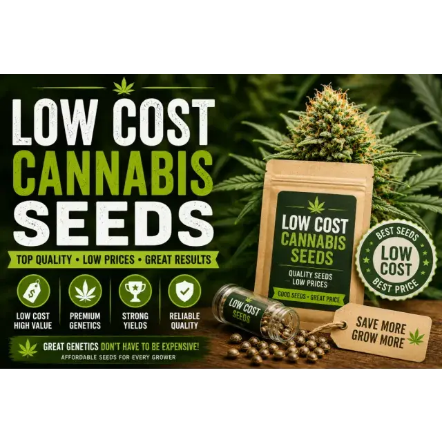 Cannabis Seeds: Low-Cost Cannabis Seeds Worth Growing.