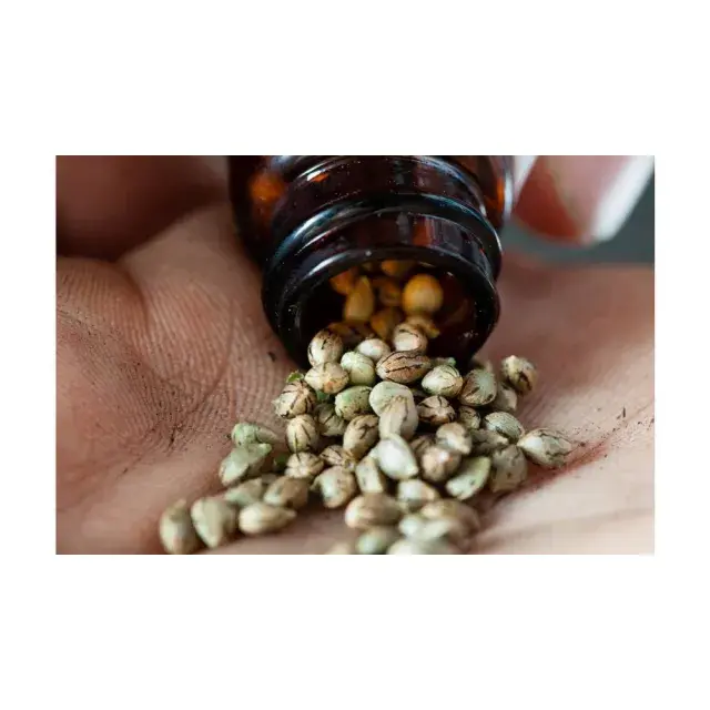 How to Grow Your Own Cannabis Seeds at Home: A Step-by-Step Guide