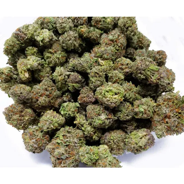 Best Deals on 100 Bulk Stardawg Cannabis Seeds for Unbeatable Prices.