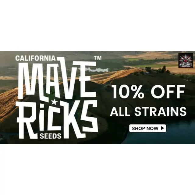 Unlock July Promotions: Enjoy 10% Off Maverick Genetics Seeds at Discount Cannabis Seeds.