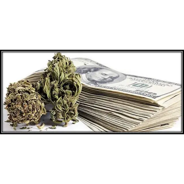 Cannabis Seeds - Discount Cannabis Seeds