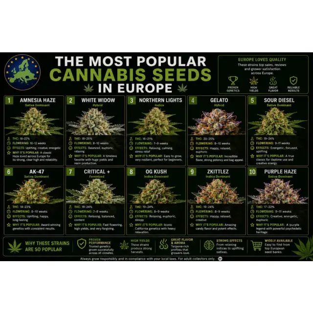 Cannabis Seeds: The Most Popular Cannabis Seeds in Europe.