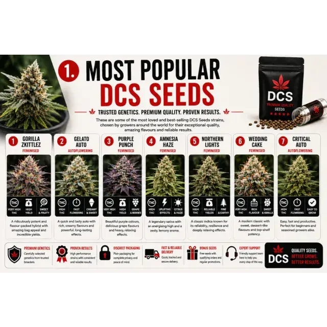 Cannabis Seeds: The Most Popular DCS Cannabis Seeds.