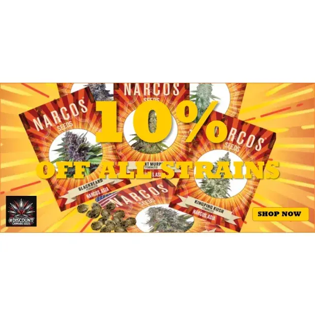 Unlock July Promotions: Enjoy 10% Off Narcos Seeds at Discount Cannabis Seeds.