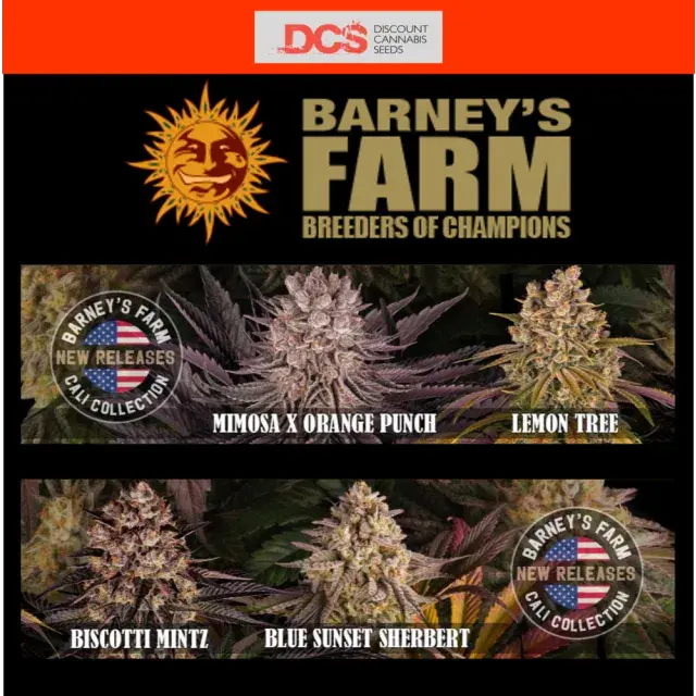New Strains from Barney's Farm from Discount Cannabis Seeds