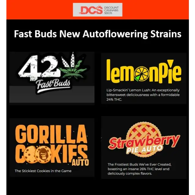 New Strains from Fast Buds - Discount Cannabis Seeds