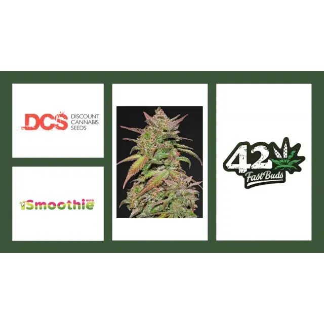 Cannabis Seeds By FastBuds - Discount Cannabis Seeds.