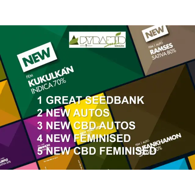 Cannabis Seeds - Pyramid Seeds - Discount Cannabis Seeds.