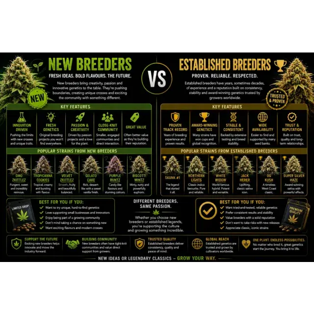 Cannabis Seeds: New Breeders vs Established Breeders.