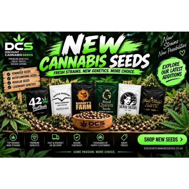 New Cannabis Seeds. Fresh Strains, New Genetics, More Strains.