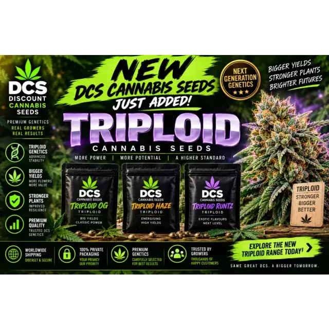 Cannabis Seeds: New Triploid DCS Cannabis Seeds Just Added.