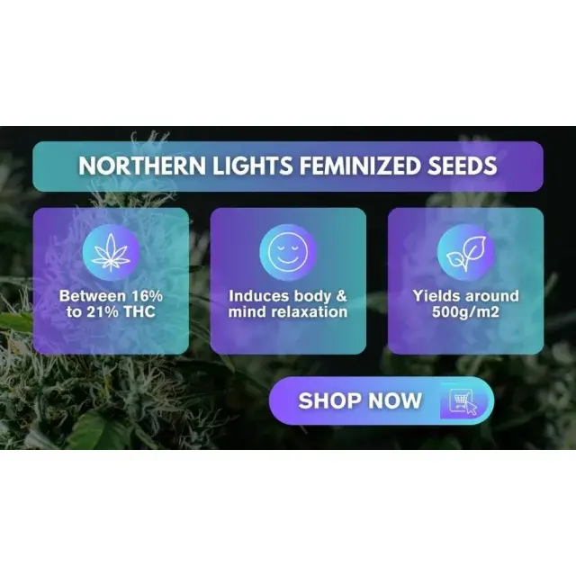 A Step-by-Step Guide: How to Order Northern Lights Cannabis Seeds.