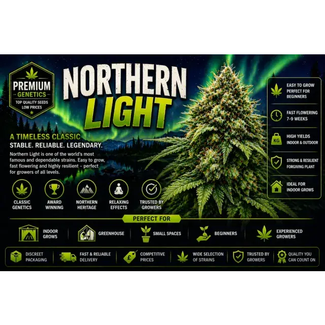 Northern Lights Cannabis Seeds (Beginner-Friendly Grow Guide 2026)
