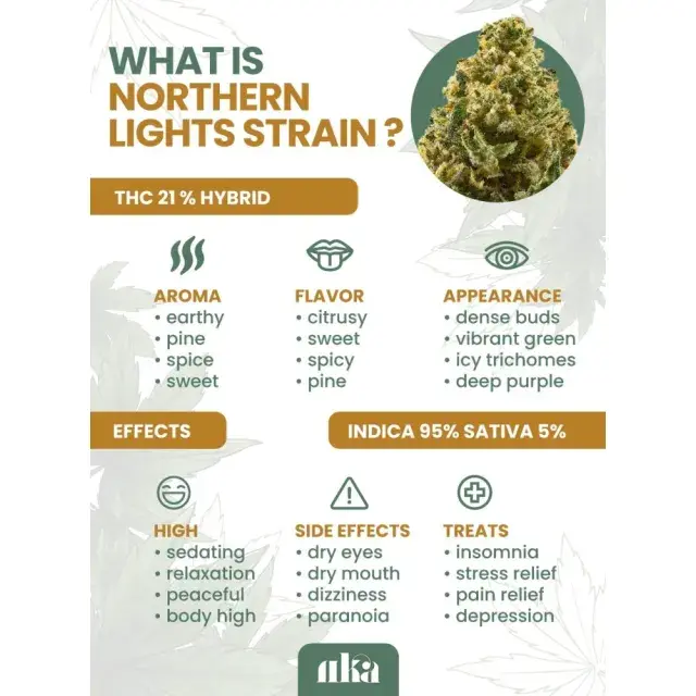 Northern Lights Cannabis Seeds: Unveiling Effects and Expert Growing Tips at Discount Cannabis Seeds.