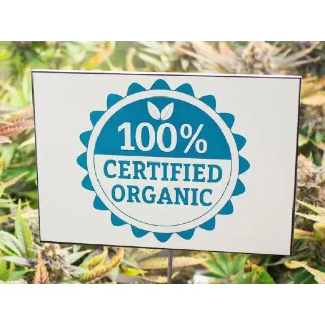 Cannabis Seeds Organically Grown - Discount Cannabis Seeds