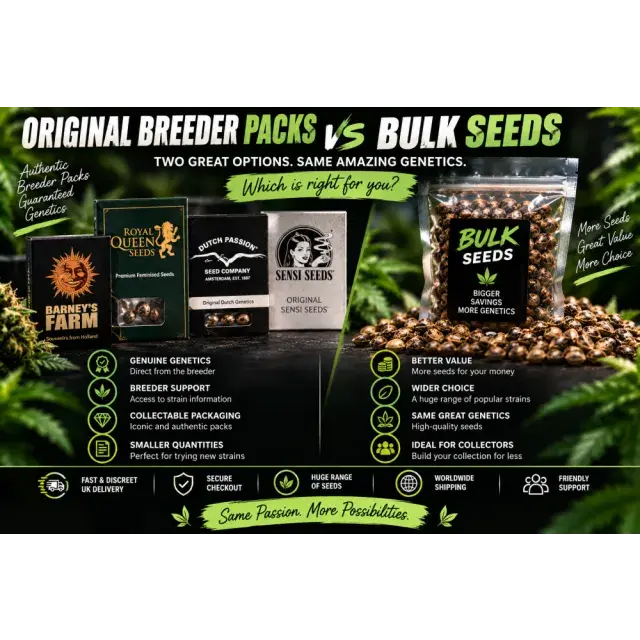 Cannabis Seeds: Original Breeder Packs vs Bulk Cannabis Seeds.