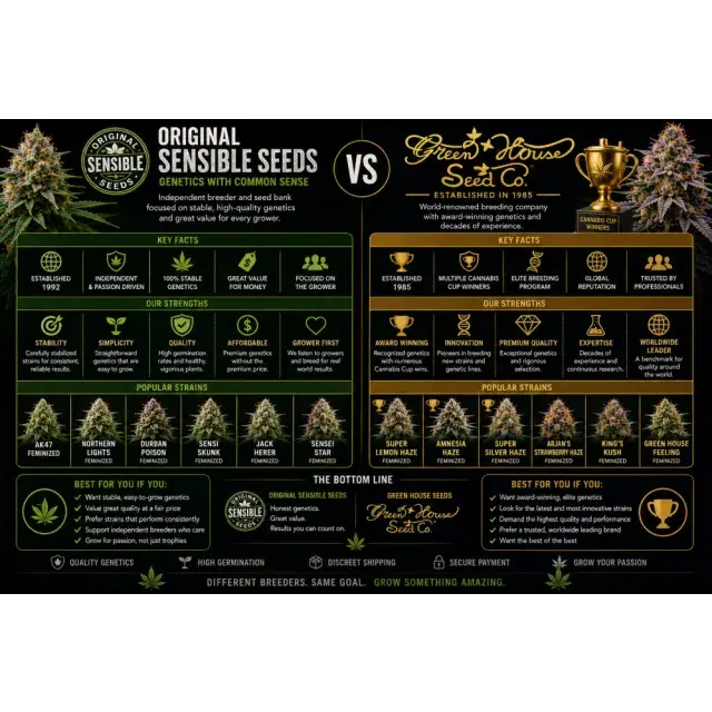 Cannabis Seeds: Original Sensible Seeds vs Green House Seeds.