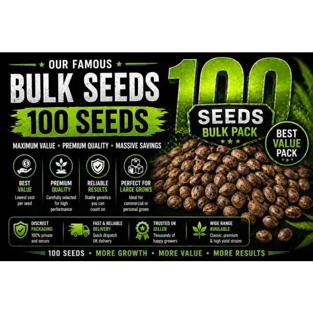 Our Famous Bulk Cannabis Seeds – 100 Seeds Packs UK.