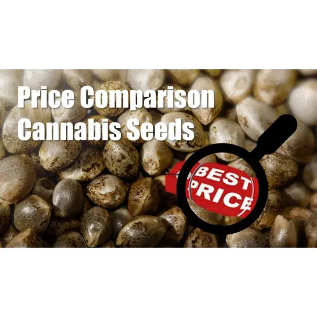 Stardawg vs. Other Cannabis Seeds Varieties: A Comprehensive Comparison