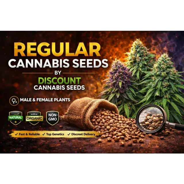 Cannabis Seeds: Regular Cannabis Seeds In The UK.