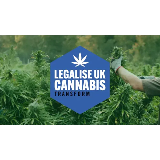 Cannabis Seeds UK Law - Discount Cannabis Seeds