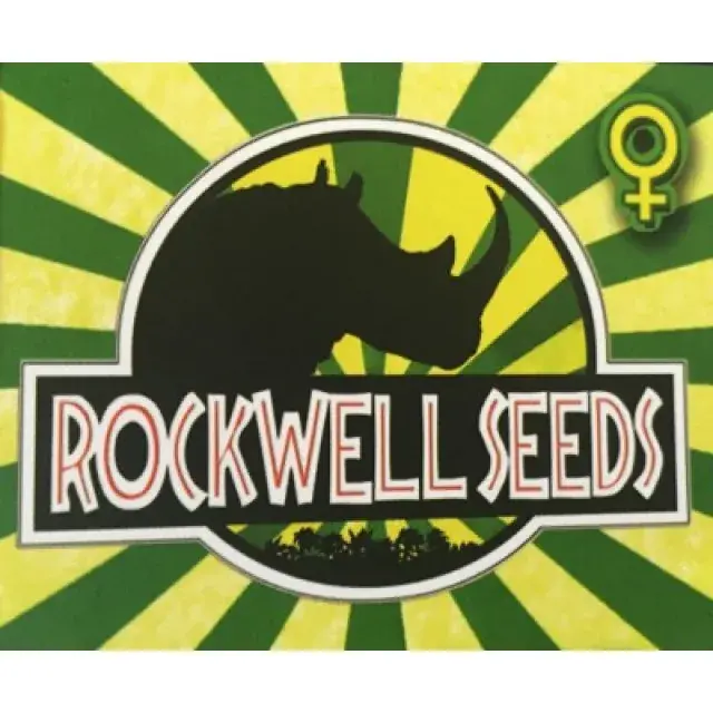 Cannabis Seeds - Rockwell Seeds.