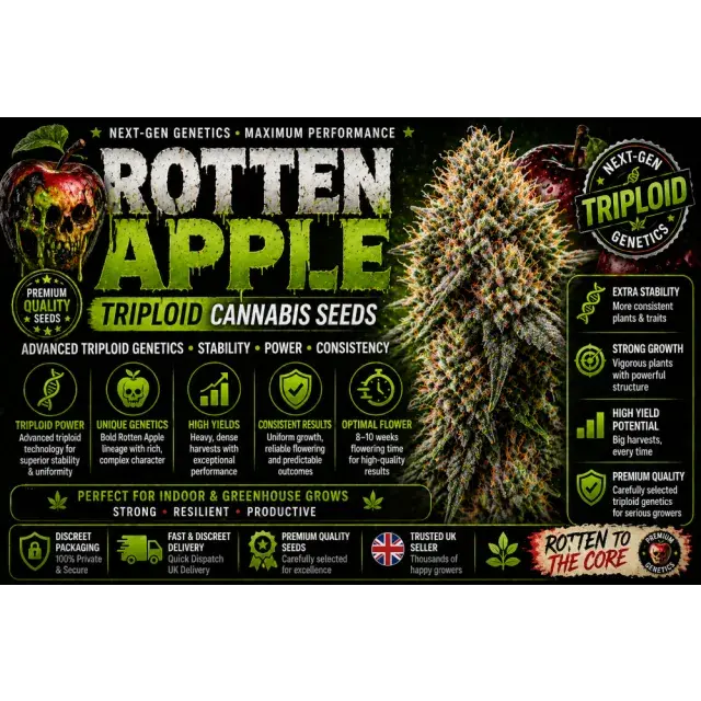 Rotten Apple Triploid Cannabis Seeds UK (Next-Gen Hybrid Guide 2026).
