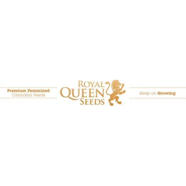 Royal Queen Seeds Review By Discount Cannabis Seeds.