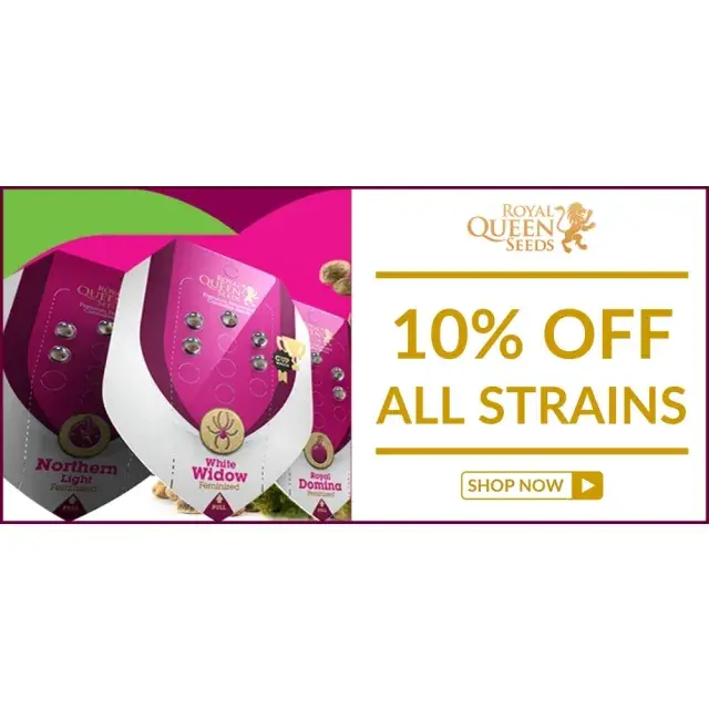Enjoy 10% Off from 10 Leading Seed Banks at Discount Cannabis Seeds.