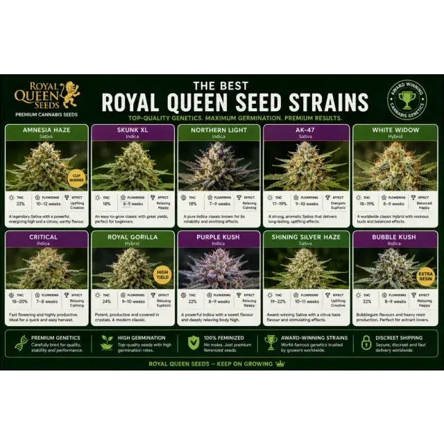 Cannabis Seeds: Royal Queen Seeds Strains: Top Cannabis Genetics.