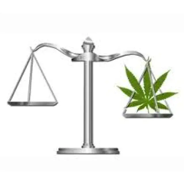 The legality of Cannabis - Discount Cannabis Seeds
