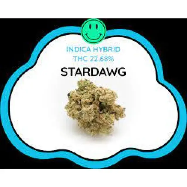 Next Level of Cannabis Seeds: Unveiling the Stardawg Strain.
